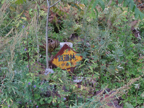 鉄道林標識＠サロマ湖畔